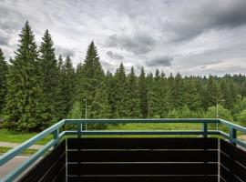 Cold Mountain Apartment in Silver Mountain Resort, hotel in Poiana Brasov