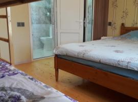 Hasanovs Villa, hotel v destinaci Baku