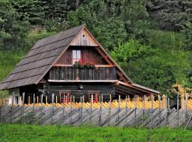 A picture of the hotel: Eco tourist farm Mikl