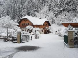 Hotel fotoğraf: Haus Steinthaler