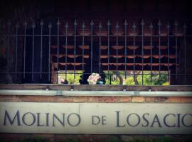 Hình ảnh khách sạn: El Molino de Losacio
