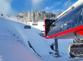 Hotel Jaworzyna Krynicka