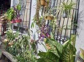 Hotel foto: The Plant House in Iloilo City 12Pax