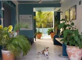 Delphinus Inn