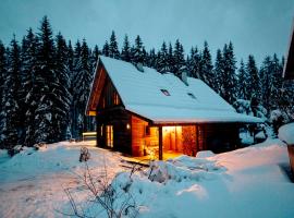 Hotel fotoğraf: Naturpark Hütte Mandl, Biobauernhof & Hüttenurlaub