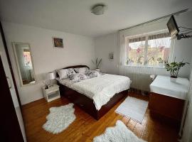 Ada-Ini House, hotel v destinaci Craiova