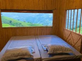 Mâm Xôi Homestay