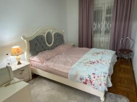 Hotel Photo: Hellen apartament Suceava