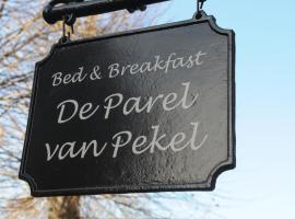 Gambaran Hotel: De Parel van Pekel