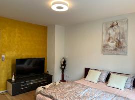 Hotel foto: 1.5 studio room fully furnished @ Langnau am Albis