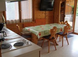 Hotel Photo: Appartement Saint-Jean-de-Sixt, 2 pièces, 6 personnes - FR-1-459-162