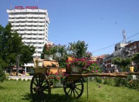 Фотографія готелю: Hotel Decebal