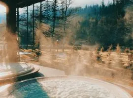 Aries Hotel & SPA Wisła