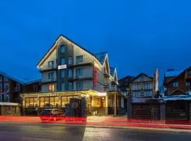 雅内特别墅酒店