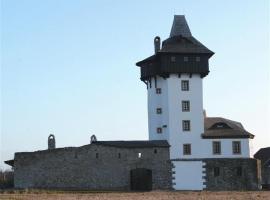 A picture of the hotel: Penzion Hrad