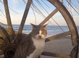 Para un poquito oasis, hotel in Barra de Valizas