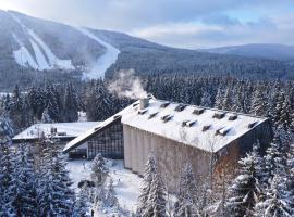 Wellness Hotel Svornost, hotel en Harrachov