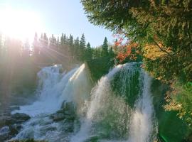 Ristafallets Camping, ξενοδοχείο σε Nyland