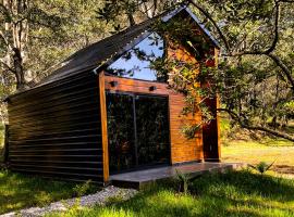 Casa Alfeñique, hotel a Villa del Carbón