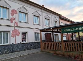 Hotel kuvat: Pension PAVIR