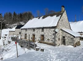 ホテル写真: Propriete de 6 chambres avec jardin amenage et wifi a Chastreix a 8 km des pistes