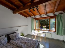 Hotel kuvat: Rustico al Sole - Just renewed 1bedroom home in Ronco sopra Ascona