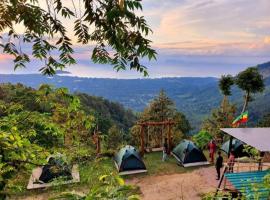 Hotel Photo: Phulipa Jungle Camp