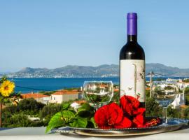 STUDIOS ATHENA，位于迈加洛丘里的酒店