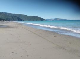 Фотография гостиницы: Rarangi Seaview On the Beach B&B