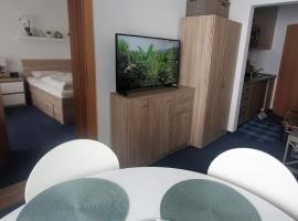 Apartment, 2 bedrooms, kitchen+2 bathrooms, hotel in Mitterfirmiansreut