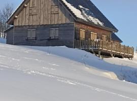 A picture of the hotel: Chalet des Monts Dore