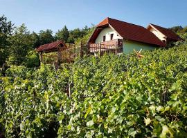 Hotel kuvat: Holiday home in Otocec Kranjska Krain 26062