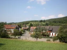 Hotel & Landgasthaus Pfeifertal