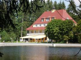 Хотел снимка: Hotel Waldsee