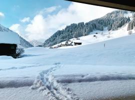 Kracha Alpinlodge, hotel in Mittelberg