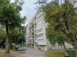 รูปภาพของโรงแรม: Apartments with a parking space Karlovac - 20779
