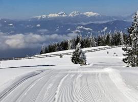 Apartmaji Koželj, hotel in Ribnica na Pohorju