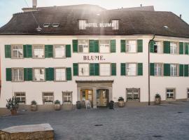 Hotel Photo: Hotel Blume - Swiss Historic Hotel