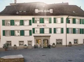 Hotel Blume - Swiss Historic Hotel, hôtel à Baden