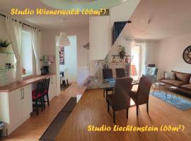 A picture of the hotel: Studios Am Wienerwald