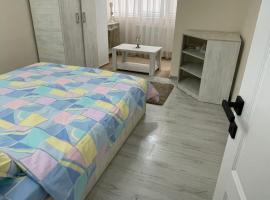 Hotel Photo: Apartament 2 camere ultracentral