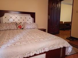 Zdjęcie hotelu: Fully furnished condo in the center of addis ababa