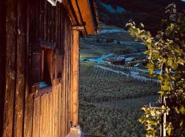 صور الفندق: Magnifique Mazot Dans Les Vignes