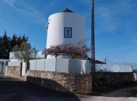 A picture of the hotel: Moinho Branco (molen)