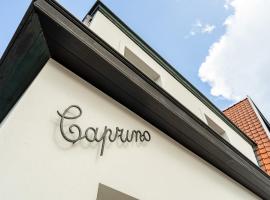 CAPRINO Guesthouse, ξενοδοχείο σε Knokke-Heist