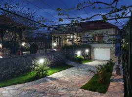 Hotel foto: Green House Pejovic