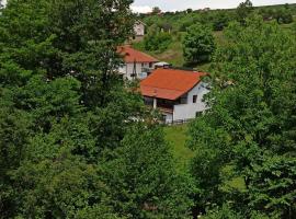 A picture of the hotel: Villa River Pehchevo