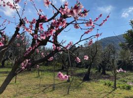 호텔 사진: Casa degli Ulivi - Alloggio turistico