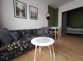 รูปภาพของโรงแรม: Apartament Skałka