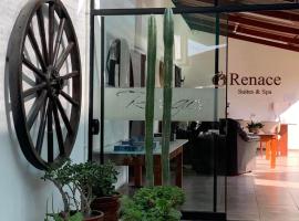 Фотография гостиницы: Renace Suites